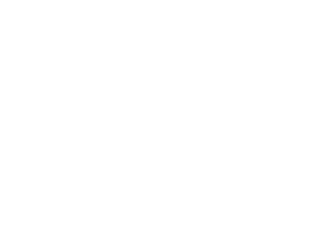 TYPO 3 Silver Member